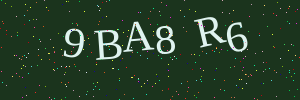 Validation image