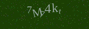Validation image