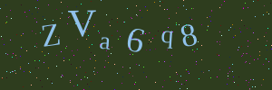 Validation image